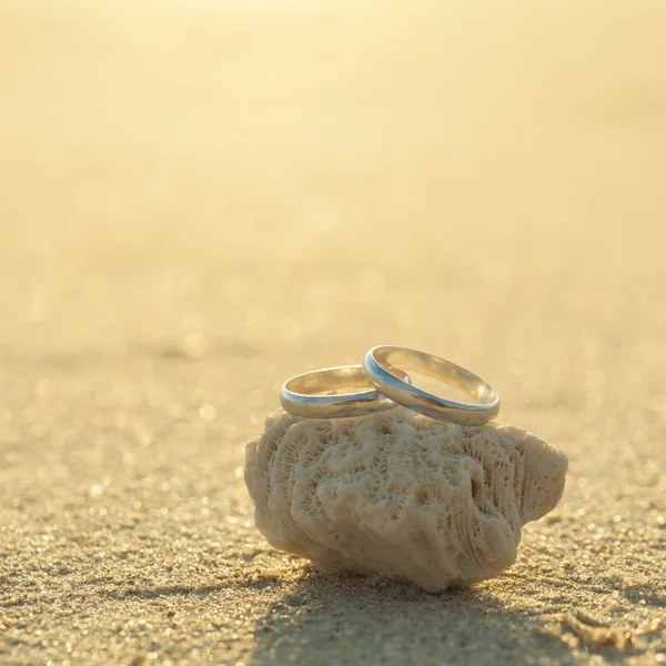 Snubní prsteny na pláži. — Stock fotografie