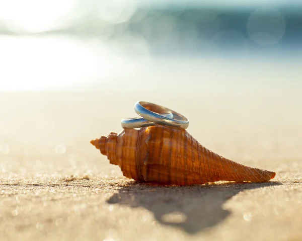 Anneaux de mariage mis sur le bord de la plage . — Photo