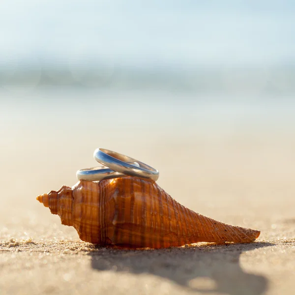 Wedding rings put on the beachside. — Stock Photo, Image