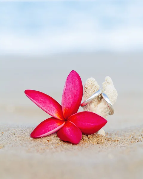 Vigselringar sätta på stranden. — Stockfoto