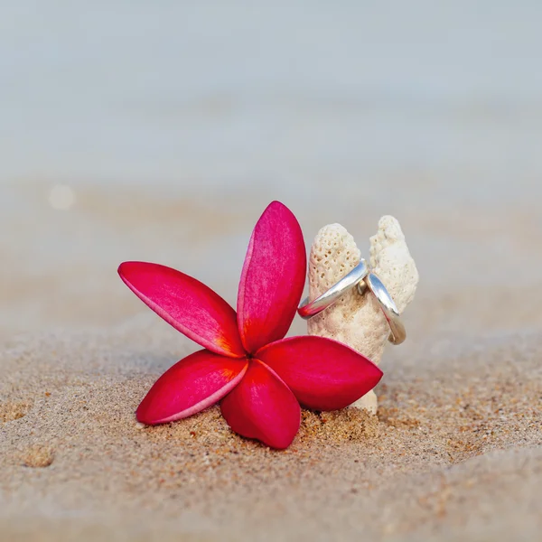 Wedding rings put on the beachside. — Stock Photo, Image