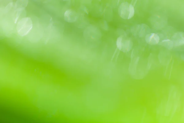 Hermoso fondo bokeh - Gotas de agua en el plátano verde le —  Fotos de Stock