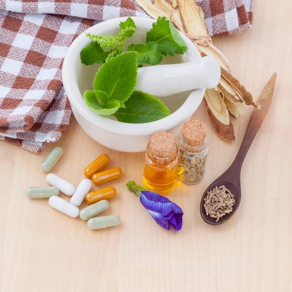 Alternative health care fresh herbal  ,dry and herbal capsule wi — Stock Photo, Image