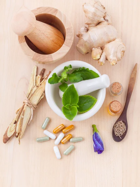 Alternative health care fresh herbal ,dry herbal and herbal caps — Stok fotoğraf