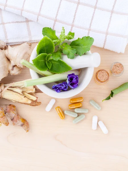 Alternative health care fresh herbal  ,dry and herbal capsule wi — Stock Photo, Image