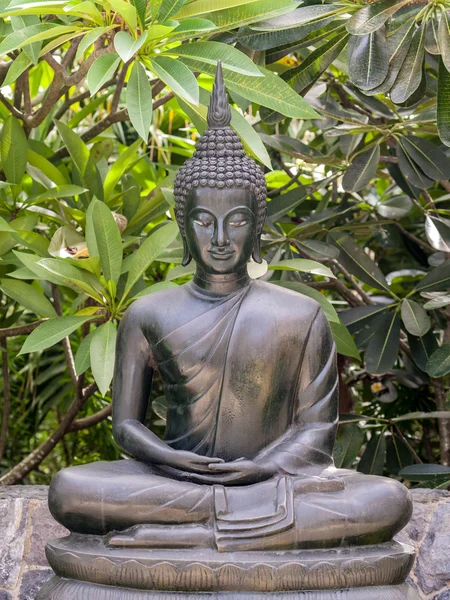 Statue en métal bouddha pose de lotus dans le jardin . — Photo