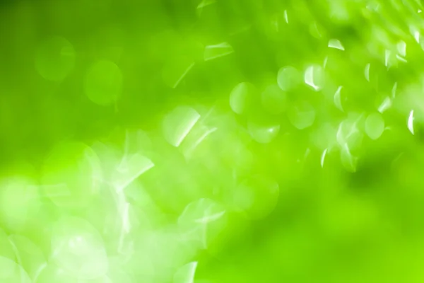 Yeşil muz le güzel bokeh arka plan - su damlaları — Stok fotoğraf