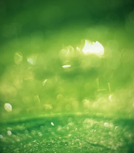 Yeşil muz le güzel bokeh arka plan - su damlaları — Stok fotoğraf