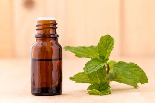 Bottle of mint essential oil on wooden background with selective — Stock Photo, Image