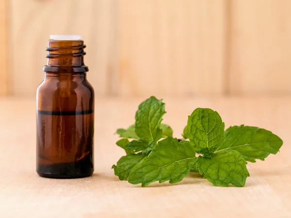 Bottiglia di olio essenziale di menta su fondo in legno con selettivo — Foto Stock