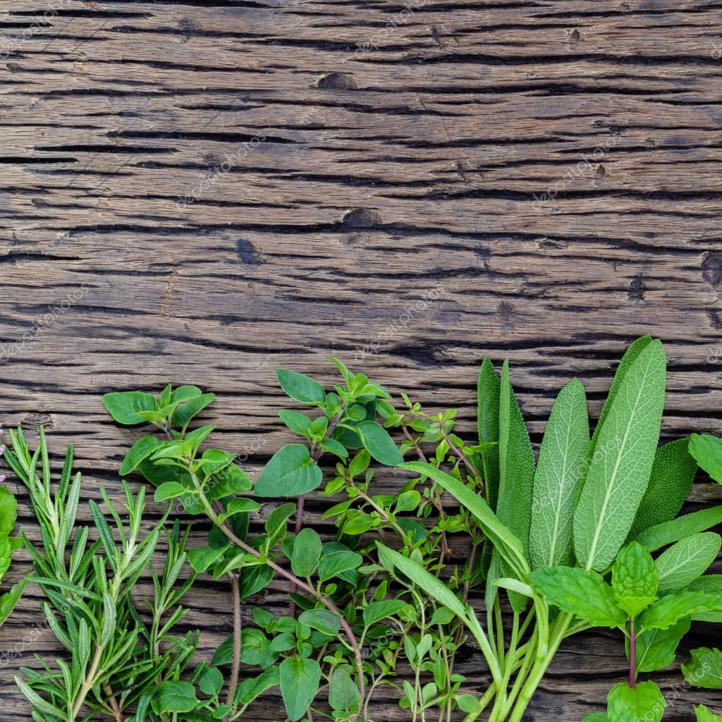 Fresh green herbs harvest from garden on wooden rustic backgroun