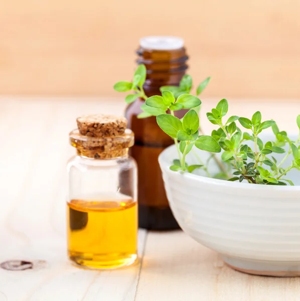 Flaska eterisk olja och citron timjan blad på trä backgro — Stockfoto