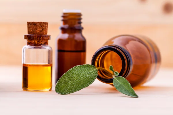 Naturliga Spa ingredienser salvia eterisk olja för aromaterapi med — Stockfoto