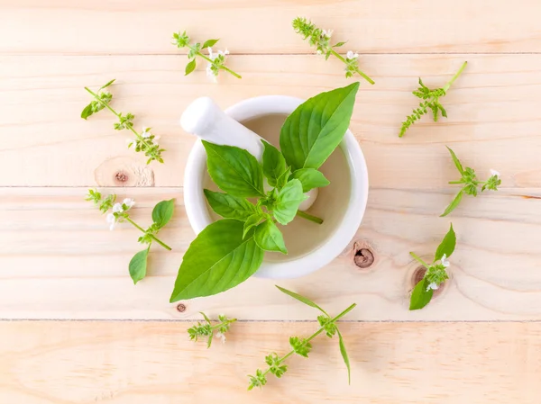 The circle of lemon basil( hairy  basil ) leaf and flower on woo