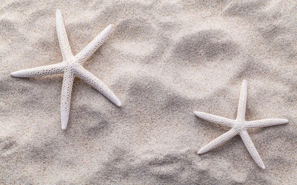 Conchas do mar, estrelas do mar e caranguejo na areia da praia para o verão e praia — Fotografia de Stock