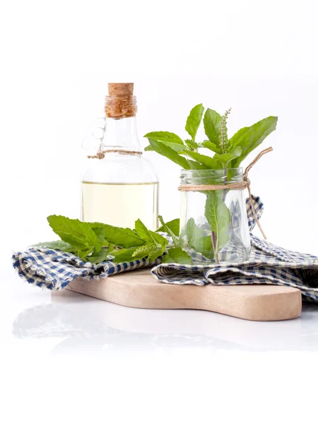 Branch of fresh holy basil in bowl on cutting board isolate on w — Stock fotografie