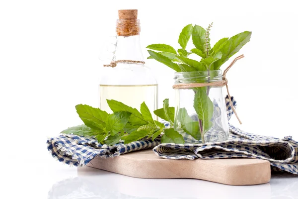 Branch of fresh holy basil in bowl on cutting board isolate on w — ストック写真