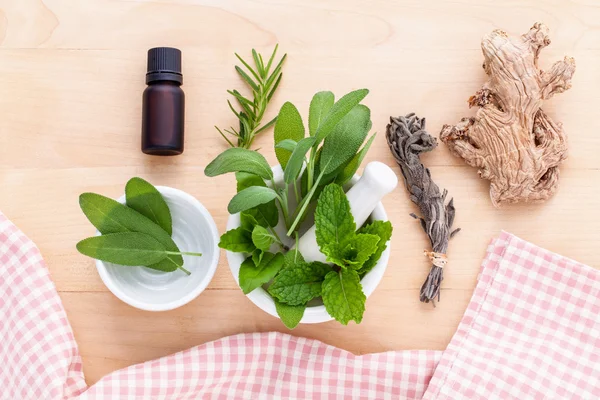Alternativ sundhedspleje frisk urte i hvid mørtel . - Stock-foto