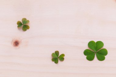 Closeup yonca yaprağı Kur ahşap arka plan üzerinde.