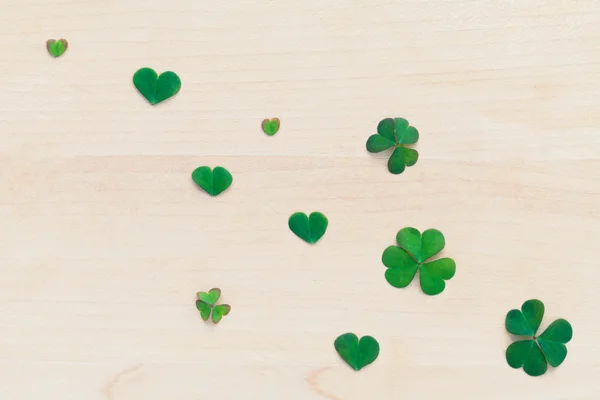 Closeup clovers leaves  setup on wooden background. — Stock Photo, Image