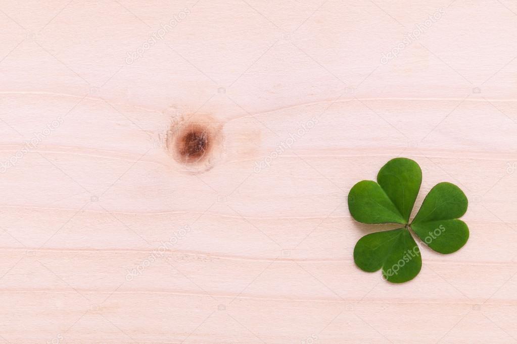 Closeup clovers leaves  setup on wooden background.