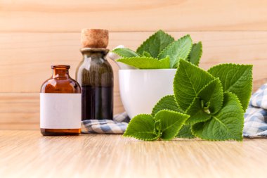 Ülke hodan, Hint hodan, Coleus amboinicus Lour beyaz m ile