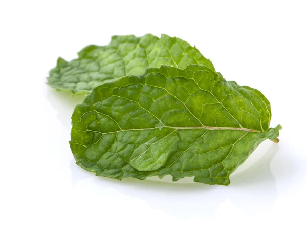 Close up Folhas de hortelã verde com isolamento de gota de água no backg branco — Fotografia de Stock