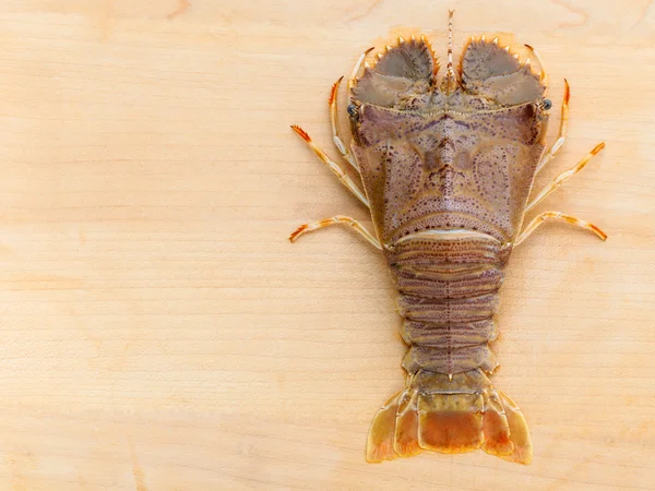 Raw Flathead lobster, Lobster Moreton Bay bug, Oriental flathead — Stock Photo, Image