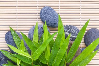 Bambu arka plan ve bambu l taş spa tedavisi sahnesinde