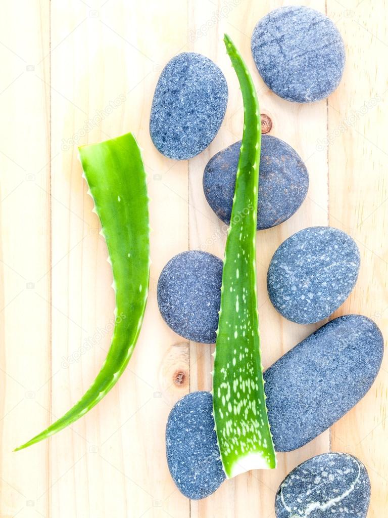 Aloe vera on Stones spa treatment scene natural spas ingredients