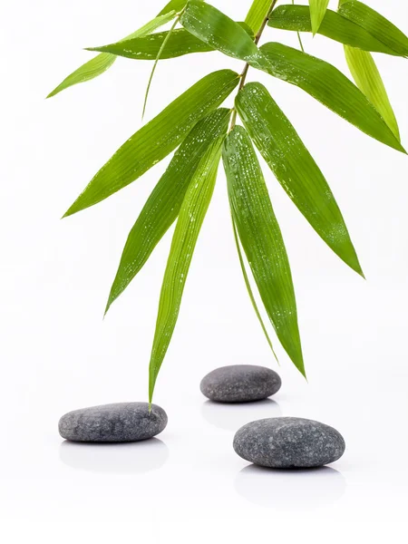 Kameny lázeňské léčby scénu a bambusové listy s dešťová kapka z — Stock fotografie
