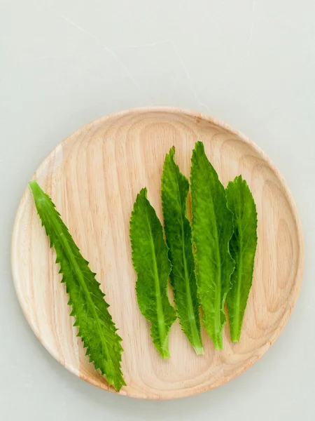 Culantro, Uzun kişniş, Testere dişi kişniş . — Stok fotoğraf