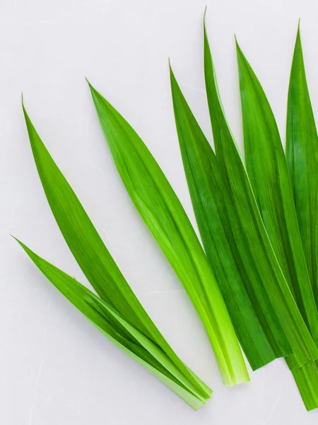 Ingrediente de ervas tailandesas para sobremesa tailandesa e aromaterapia spas . — Fotografia de Stock