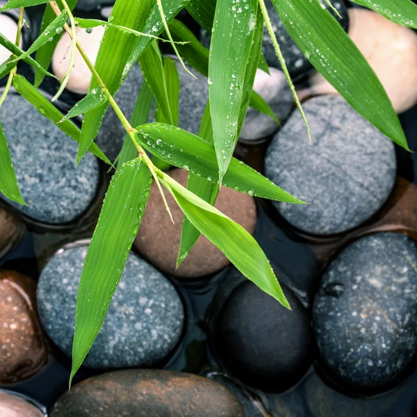 Rzeka Stones Spa sceny leczenia i liści bambusa . — Zdjęcie stockowe