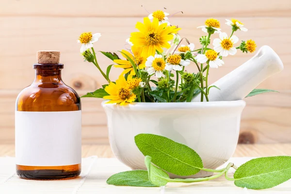 Alternativa hälso-och färska örter, oljor och vilda blomman med — Stockfoto