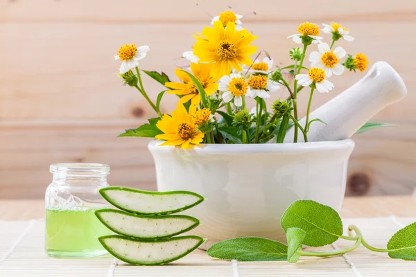 Cuidados de saúde alternativos ervas frescas Aloe vera, óleo e selvagem fl — Fotografia de Stock