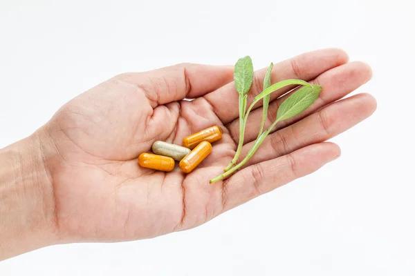 Alternative health care fresh herbal and capsule in doctor 's ha — Stock Fotó