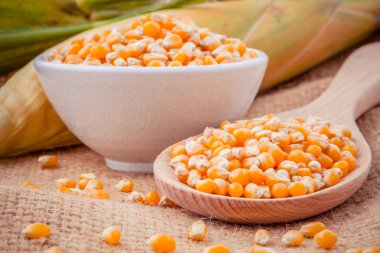 Grains of ripe corn in the bowl and spoon with fresh sweet corn 