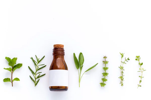 Botella de aceite esencial con hierba santa hoja de albahaca, romero, oreg — Foto de Stock