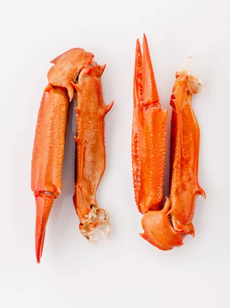 Garras de cangrejo hervidas aisladas sobre fondo blanco para cangrejos y mar —  Fotos de Stock