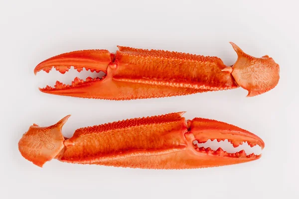 Kokt krabba claws isolerad på vit bakgrund för krabbor och havet — Stockfoto