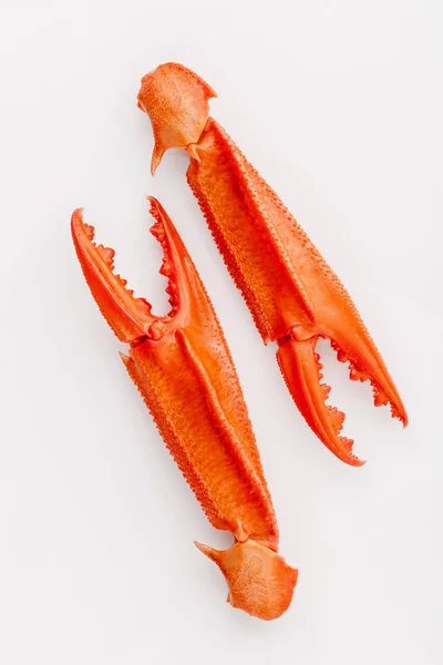 Garras de cangrejo hervidas aisladas sobre fondo blanco para cangrejos y mar —  Fotos de Stock