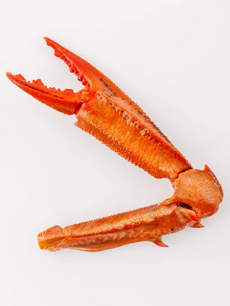 Kokt krabba claws isolerad på vit bakgrund för krabbor och havet — Stockfoto