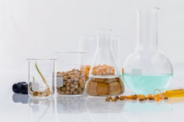 Tarımsal Laboratuvar tahıl ve Mısır zekâ tehlikeli gıdalardan