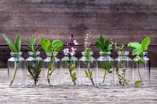 Bottle of essential oil with herbs — Stock Photo, Image