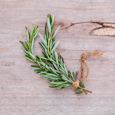 Kavram baharat için taze biberiye dalı kadar kapatın