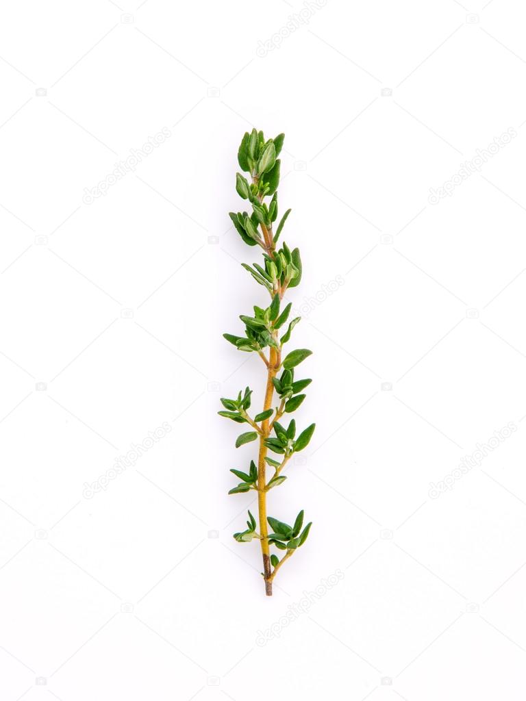 Kerdkanno