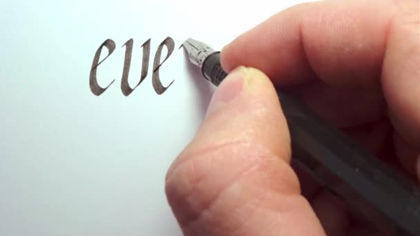Iedereen heeft een verhaal. Handschrift met een pen. — Stockvideo