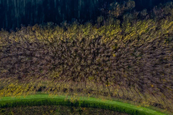 秋の森林 クロアチアのカラフルな木々やクパ川の空中のオーバーヘッドビュー 抽象的な背景 — ストック写真