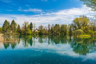 Hırvatistan 'da Mreznica Nehri ve ağaçlar suya yansıyor